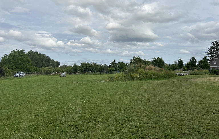 Wiese für Wohnmobilstellplätze des Weingut Fischers