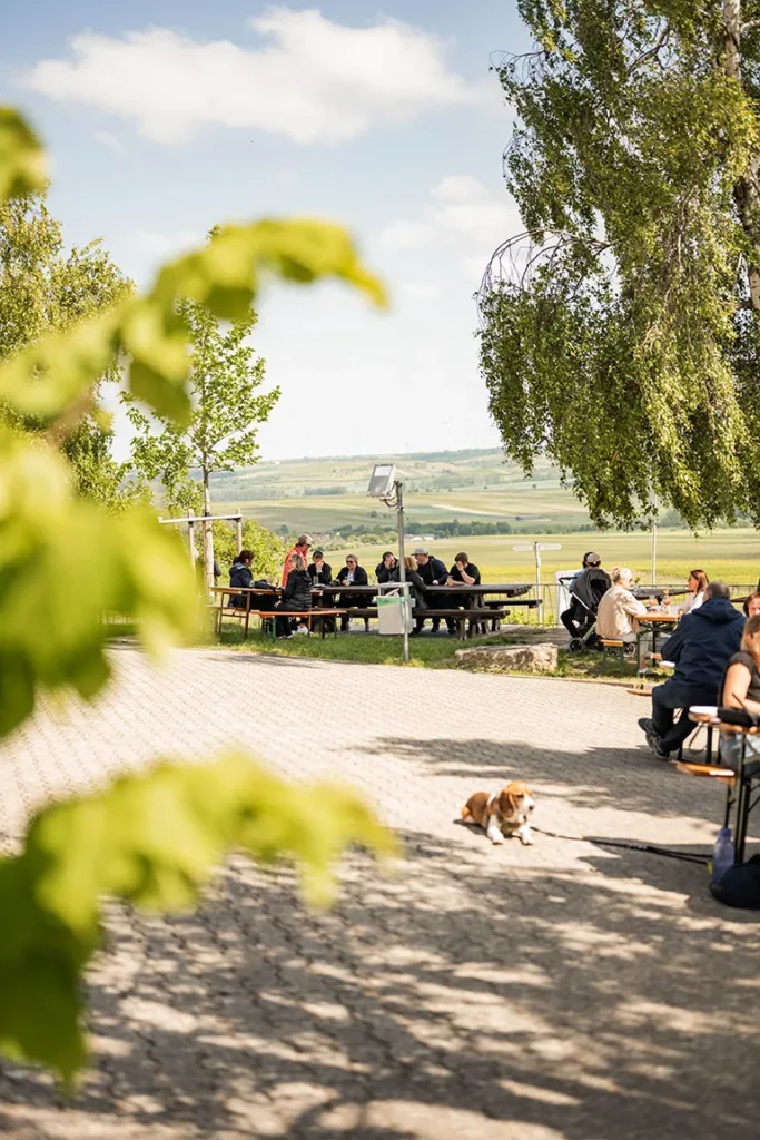 Wein-Wander-Sommer an der Kapelle 2025