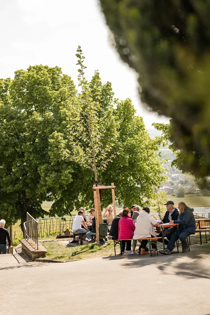 Wein-Wander-Sommer an der Kapelle 2025