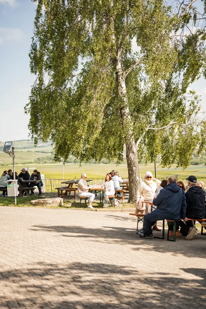 Wein-Wander-Sommer an der Kapelle 2025