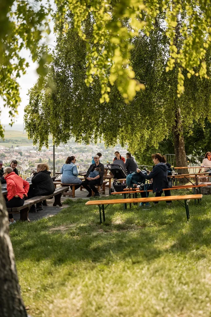 Wein-Wander-Sommer an der Kapelle 2025